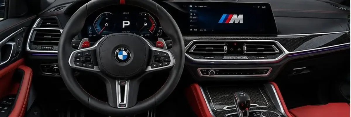 BMW_X6M_Import_Allemagne__3_